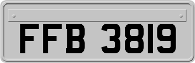 FFB3819