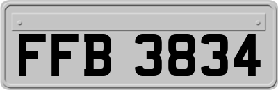 FFB3834