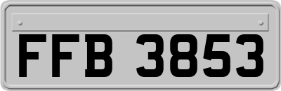 FFB3853