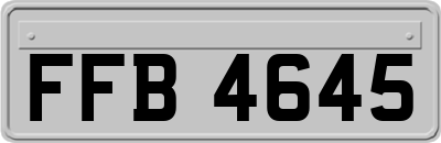 FFB4645