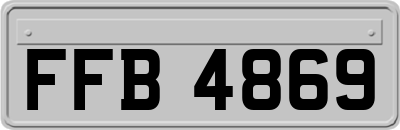 FFB4869