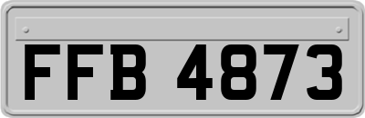 FFB4873