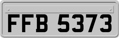 FFB5373