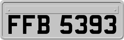 FFB5393