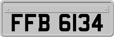 FFB6134