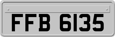 FFB6135
