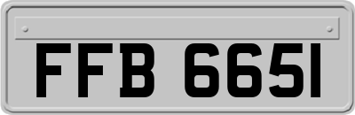 FFB6651