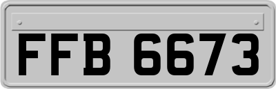 FFB6673