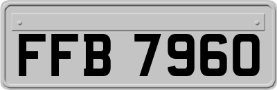 FFB7960