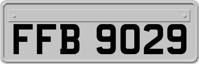 FFB9029