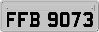 FFB9073