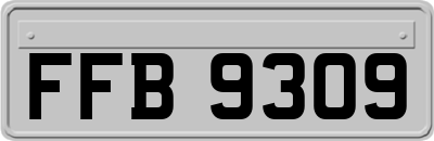 FFB9309