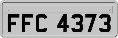 FFC4373