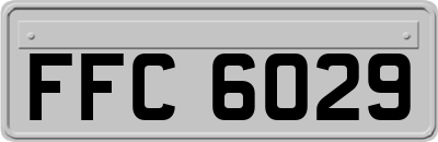 FFC6029