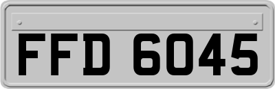 FFD6045