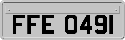 FFE0491