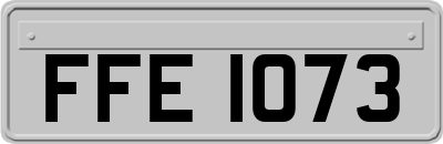 FFE1073