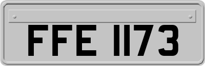 FFE1173