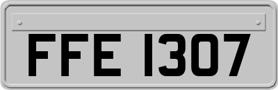 FFE1307