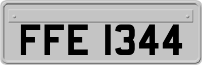 FFE1344