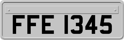 FFE1345