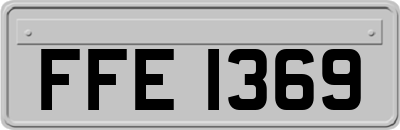 FFE1369