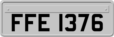 FFE1376