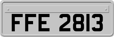 FFE2813