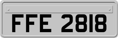FFE2818