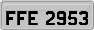 FFE2953