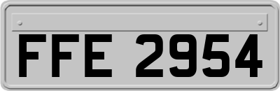 FFE2954