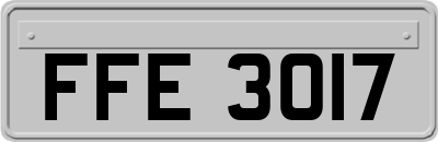 FFE3017