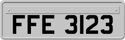 FFE3123