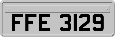 FFE3129