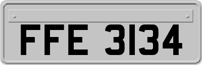 FFE3134
