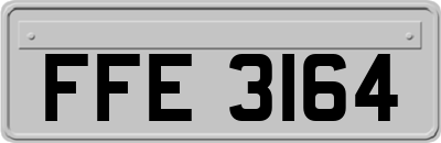 FFE3164
