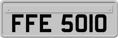 FFE5010