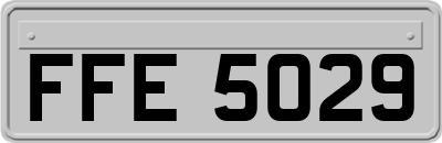 FFE5029