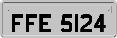FFE5124