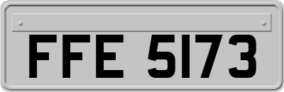 FFE5173