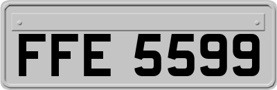 FFE5599