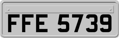 FFE5739
