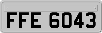 FFE6043