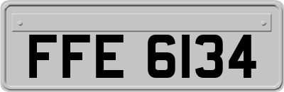 FFE6134
