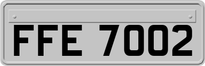 FFE7002