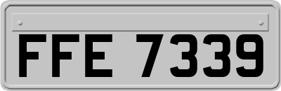 FFE7339