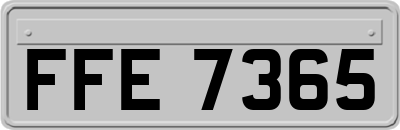FFE7365
