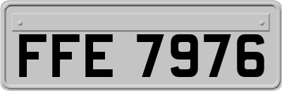 FFE7976