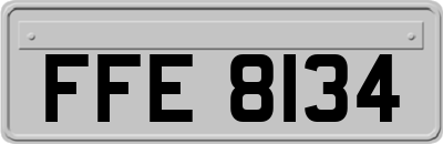 FFE8134
