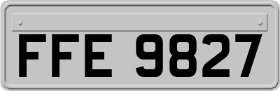 FFE9827